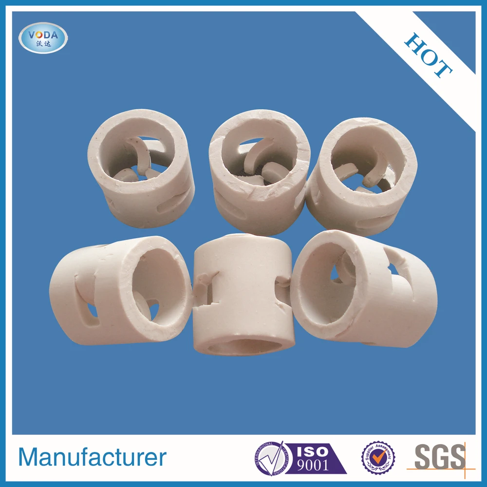 ceramic pall ring.jpg