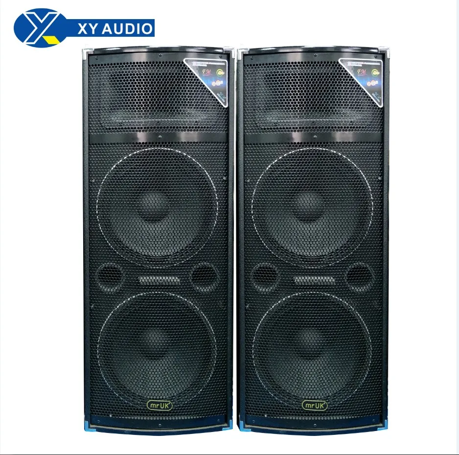 Professional Stage Speaker 2.0 Active Professional Concert Stage