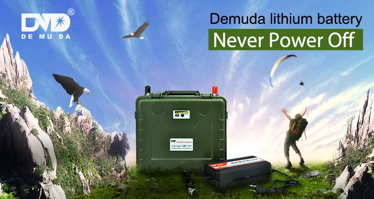 Lithium ion battery upsc 