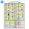 High quality custom giant coloring laminated educational posters for children