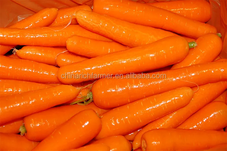 carrot -1 (5).jpg