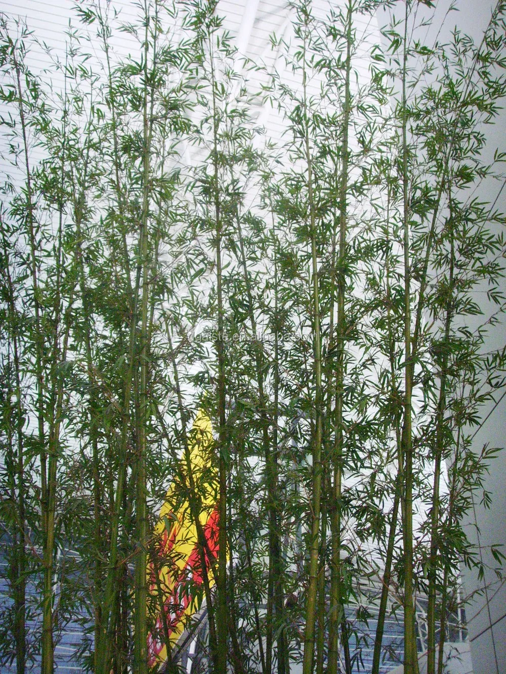 Artificial Bamboo Tree Plant Synthetic Bamboo Poles For Wholesale Buy