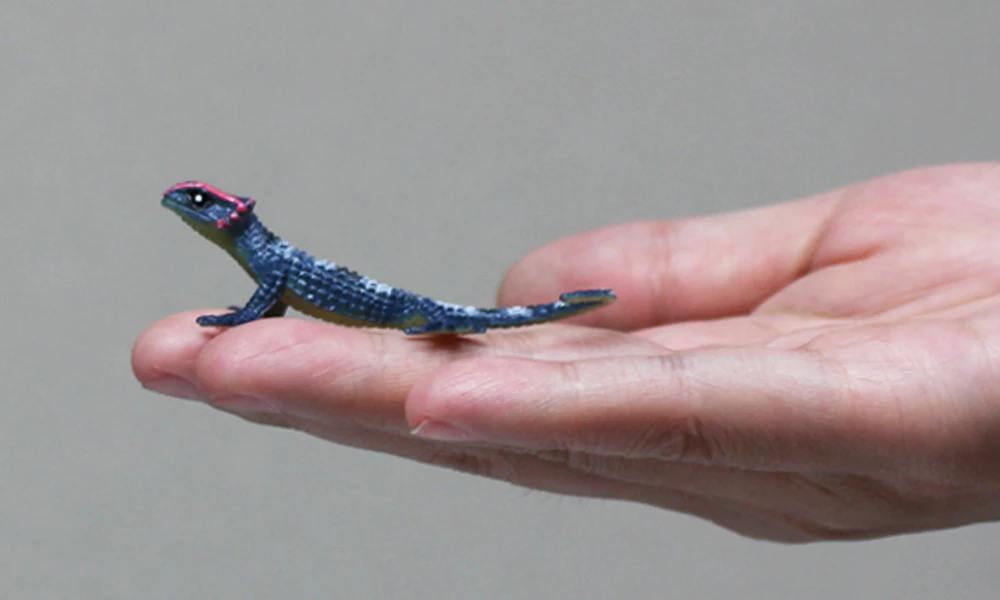 FAS013474(6) lizard toy