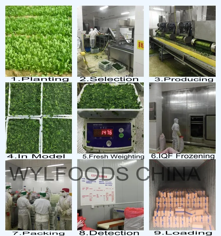 Producing Flow-Spinach block