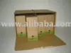 Concept Archives Box File