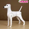 Opawz grooming dog mannequin Model dog grooming dog model