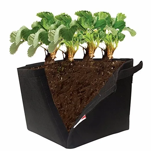 5gallon 5pack Square Fabric Grow Bag With Handle Buy Vegetable Grow