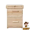 Beekeeping deep box 1 or 2 layer WBC Dadant Langstroth British beehive with 10 or 20 frames pine or fir