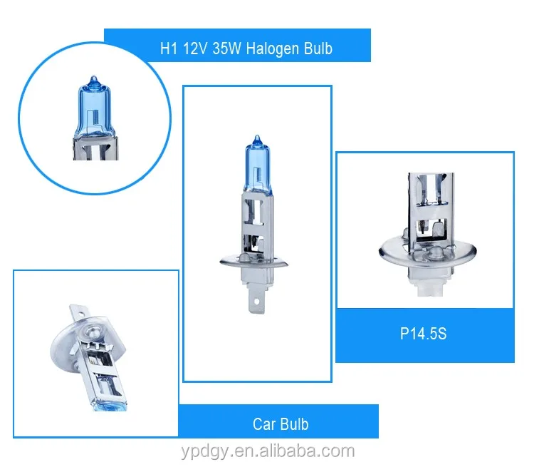 H1 Halogen Bulb 35w 24v 55w 80w 100w 70w - Buy Wholesale Car Bulbs ...