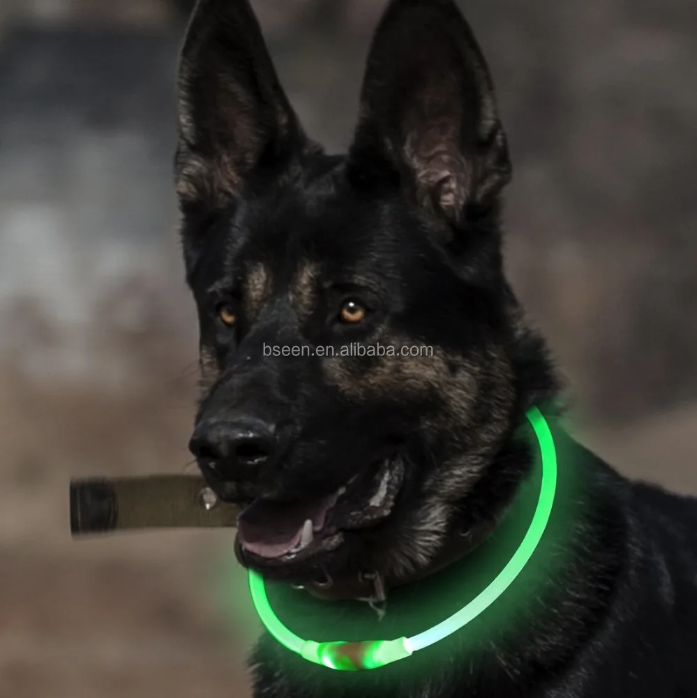 La migliore vendita cane led collare light up di sicurezza di notte