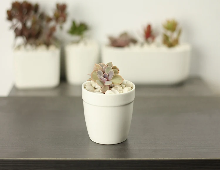 Windowsill Adornment Hexagon White Ceramic Indoor Pots For Succulent