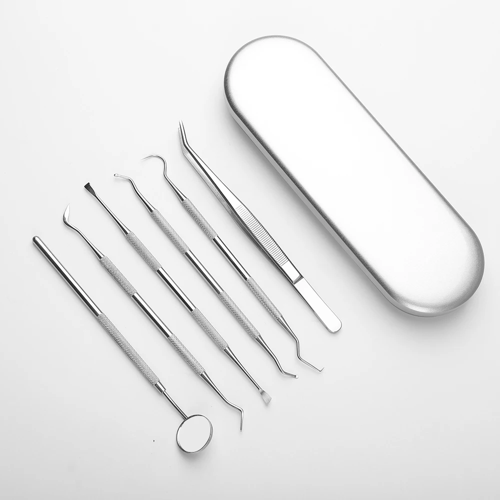 Surgical Stainless Steel Dental Instruments Dental Hygiene Tool Kit