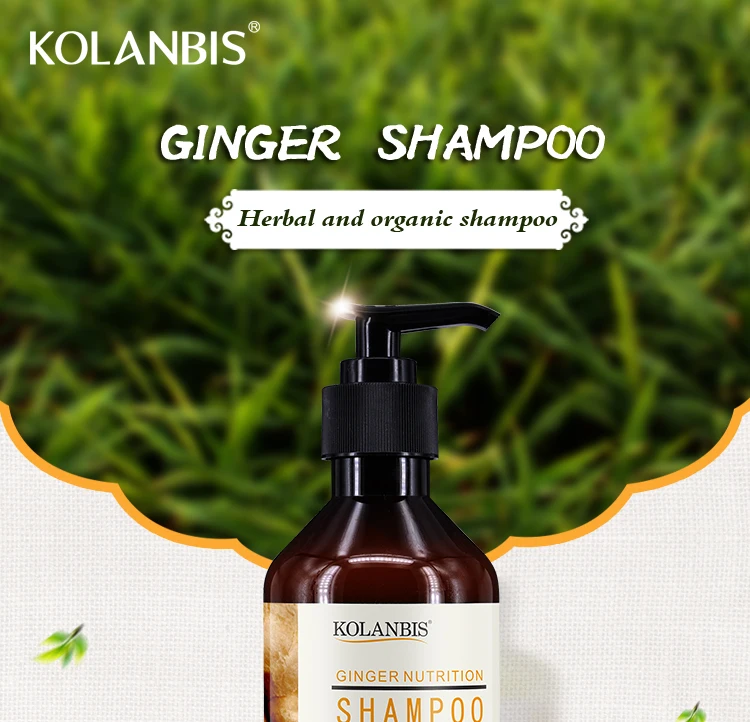 Wholesale Herbal Ginger Hair Loss Shampoo For Damage Dry Hair Buy