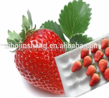 buy fruit tray