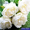 2016 5heads artificial silk fancy coral peony for indoor decoration
