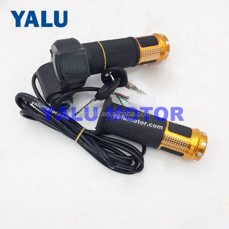 digital throttle wp03.jpg