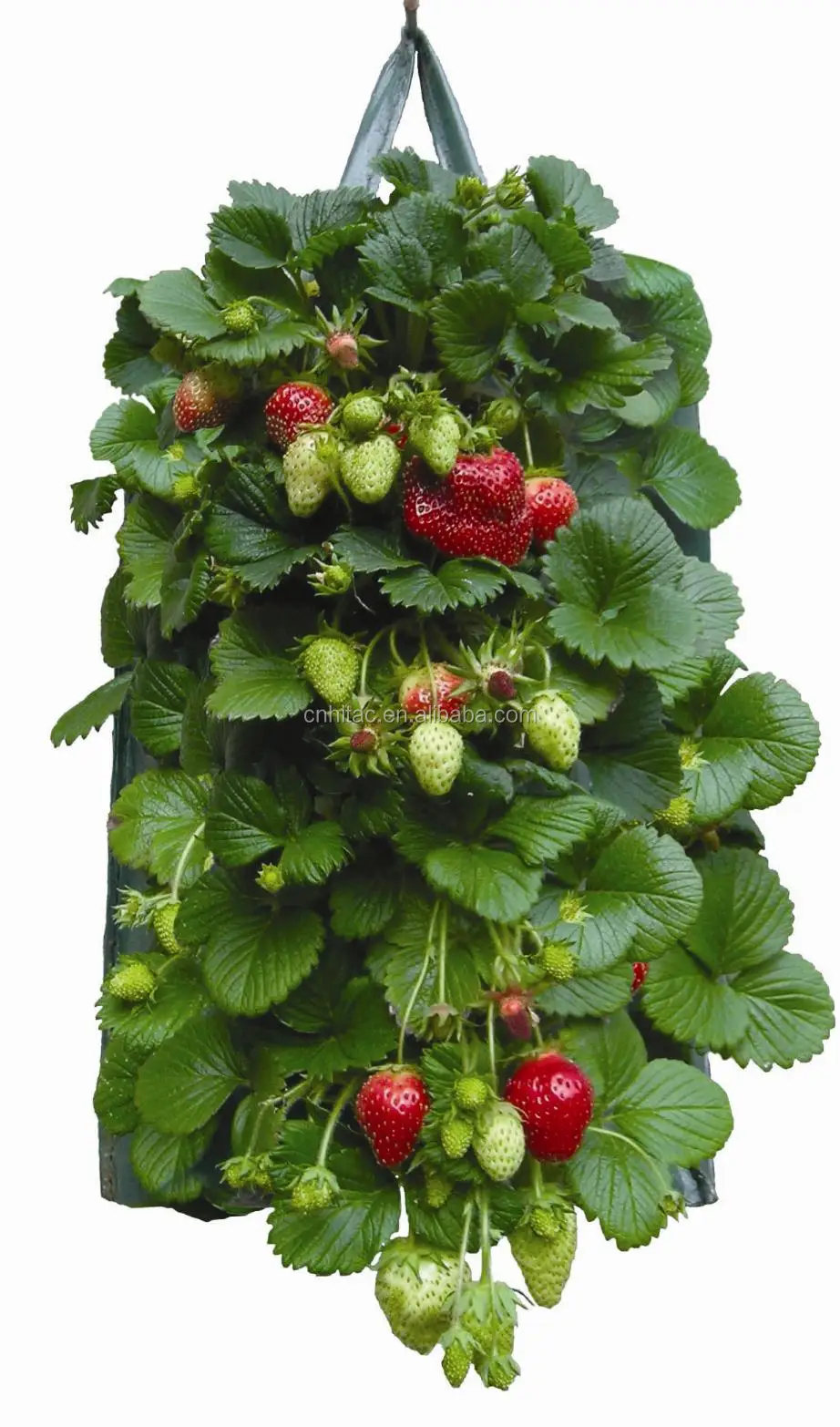 Hanging Strawberry Growing Bags Planter,Hanging Strawberry Planter Bags