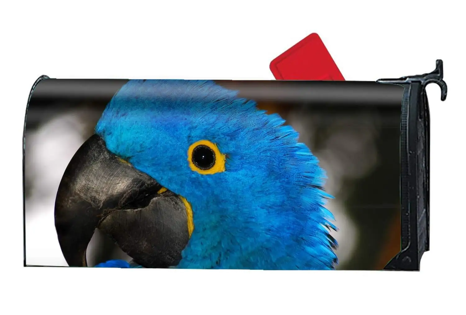 3dRose lsp/_163069/_2 Image of Birds and Bird Cages in Fall Colors and Tree Branch Double Toggle Switch