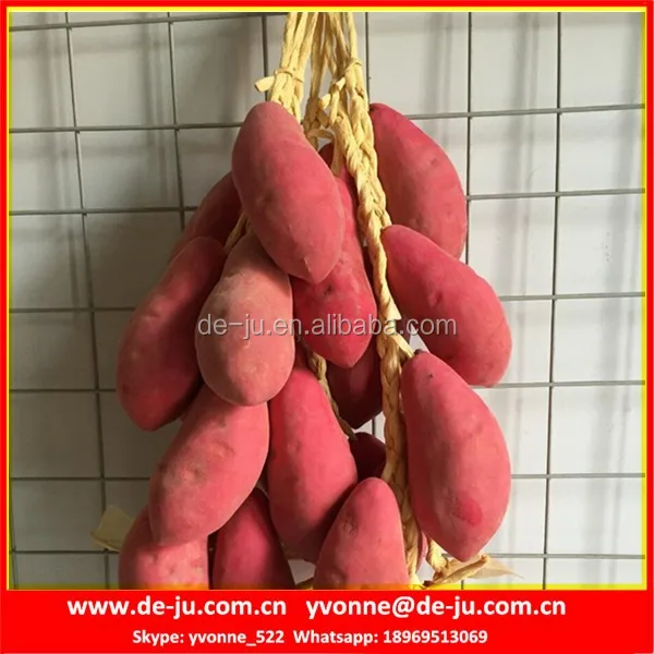 Shop Decoration For Fancy Shop