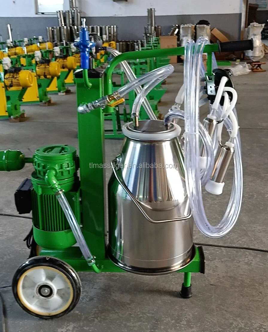 QQ20190705144942.jpg