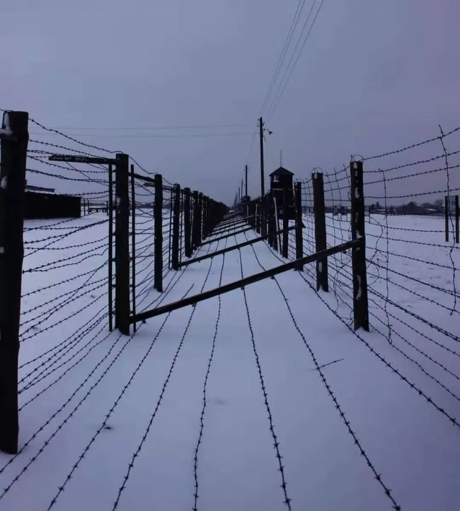 barbed wire (13)