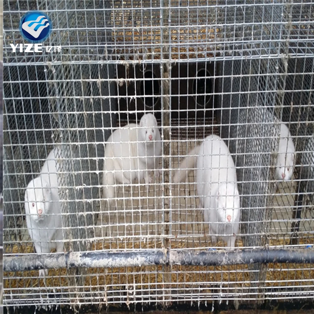 Anping Yize Mink Cage Welded Wire Mesh Animal Cage Mink Cage Buy