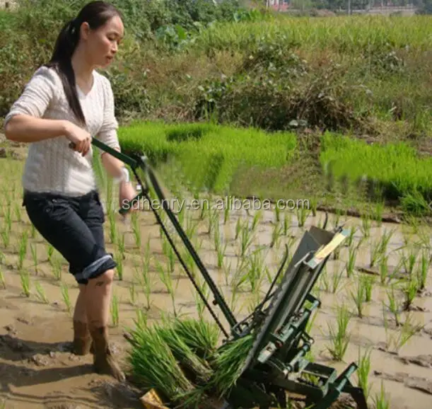Rice Planting Machine And Prices Buy 2 Row Rice Transplanter,Manual