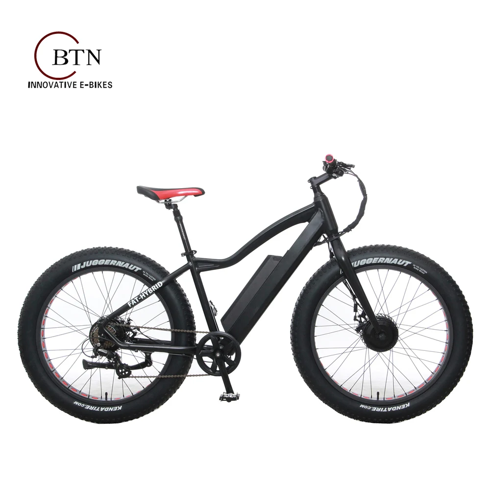 fatmax electric bike