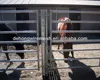 Round pipe cattle fence horse panels 6' tall 7 rail, custom triple post to mount swing gates on each side(Manufacturer&Factory)