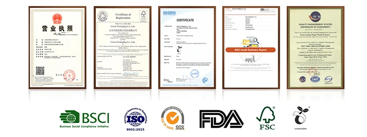paper cup certifications