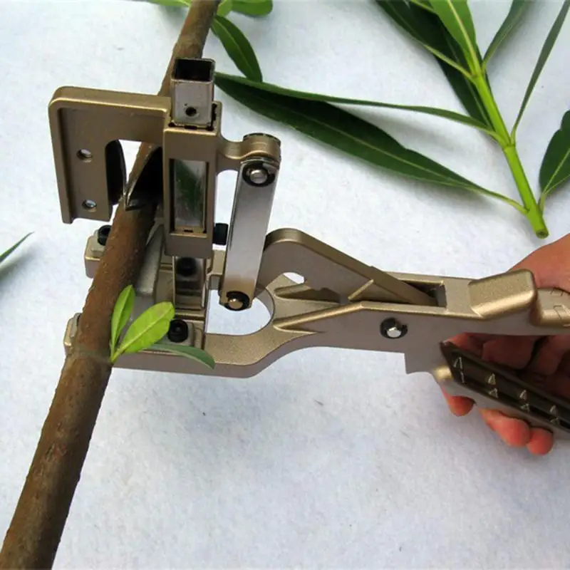 grafting machine (16).jpg