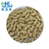/product-detail/peanut-with-shell-and-we-can-supply-bulk-peanut-material-60652211136.html