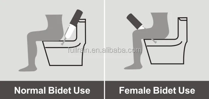 TB200 electric portable bidet application.jpg