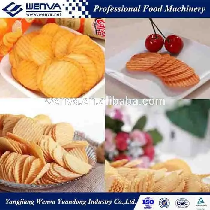 Fully_automatic_small_scale_potato_chips_production (4)