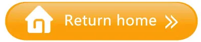 return home