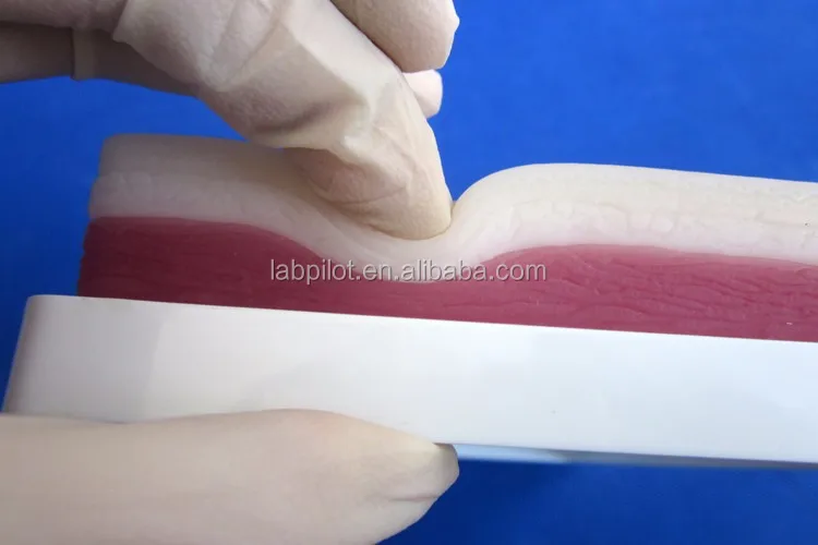 Elastic 3layer Surgical Suturing Pad,Muscle And Skin Suture Training