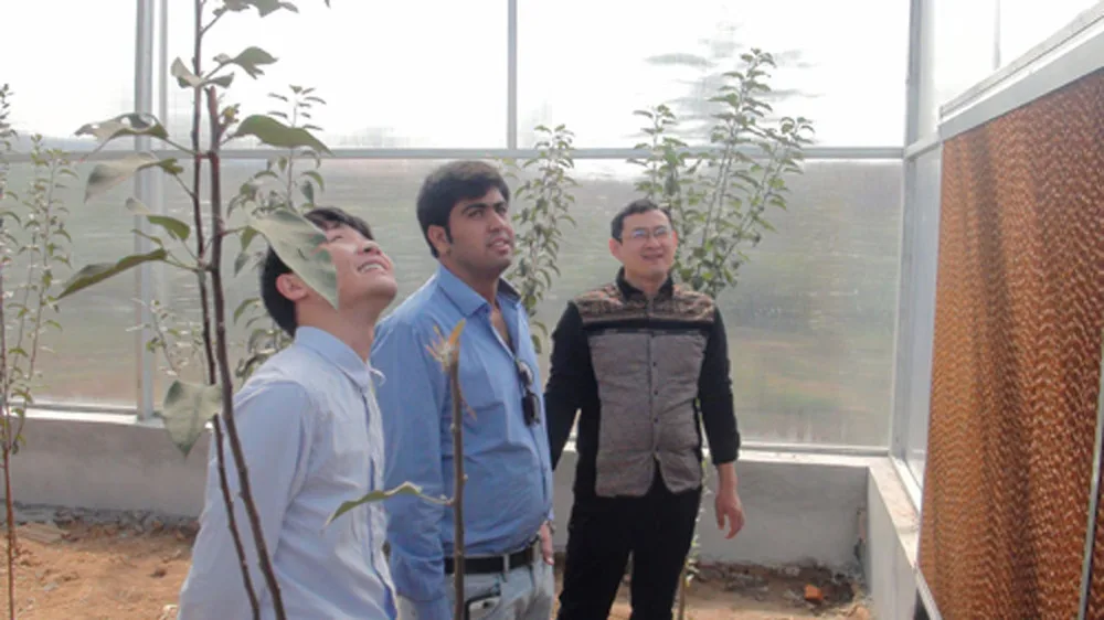 model greenhouse.jpg