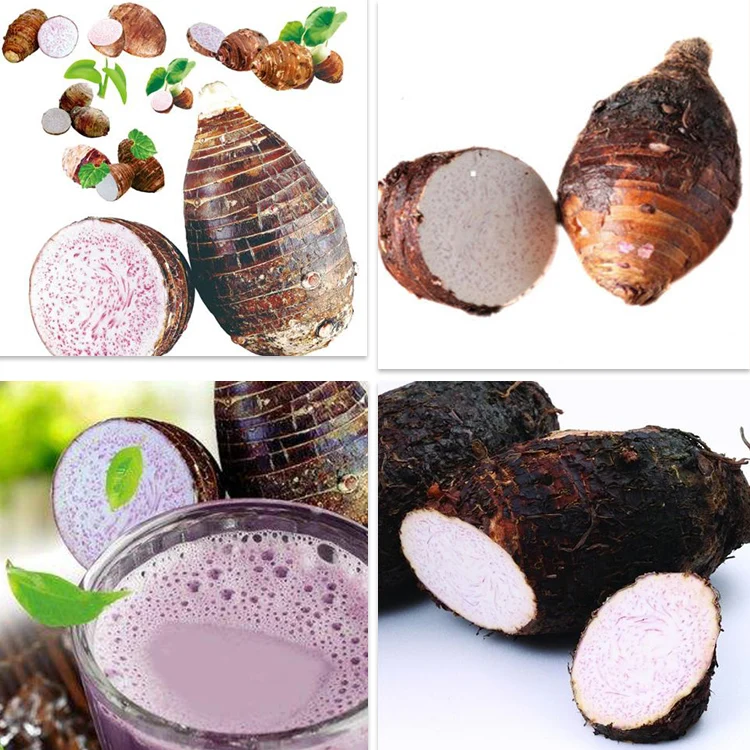 Taro flavor фрукт. Taro flavor что за фрукт.