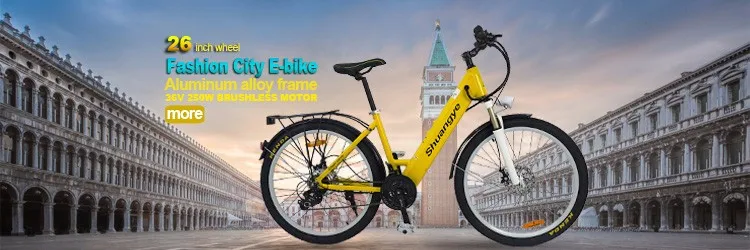 a5ah26 ebike 750x250.jpg