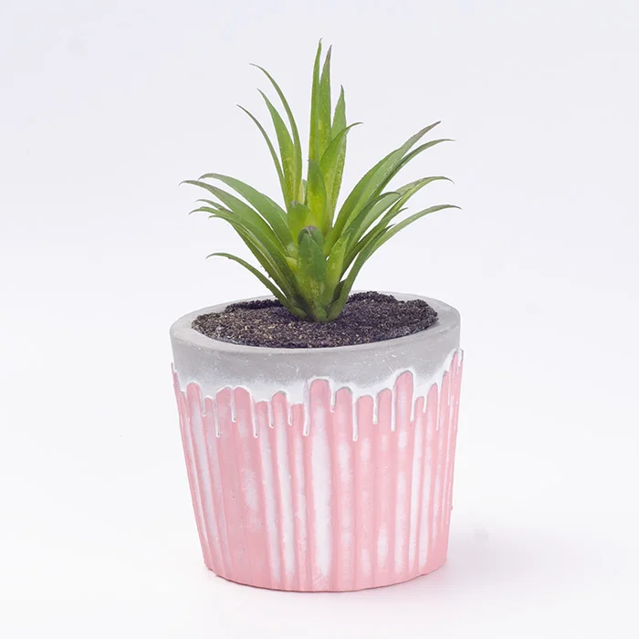 Desktop flower pot.jpg
