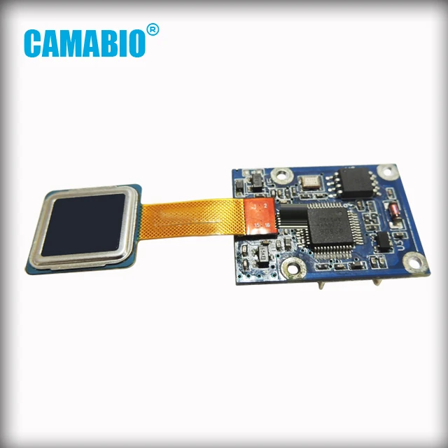 CAMA-AFM31.jpg