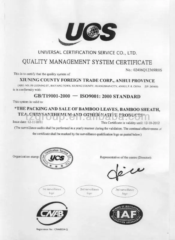 ISO9001.jpg