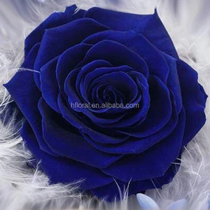 roseli blue