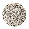 Panama Arabigo 100% Cheap Price Green Coffee Beans