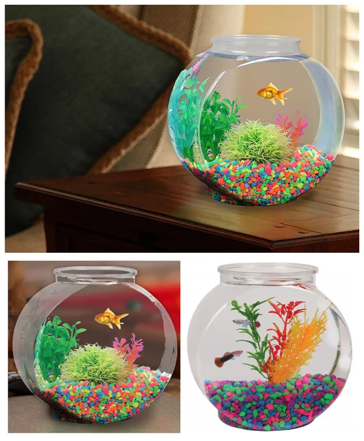 Clear Fish Bowl   (1).jpg