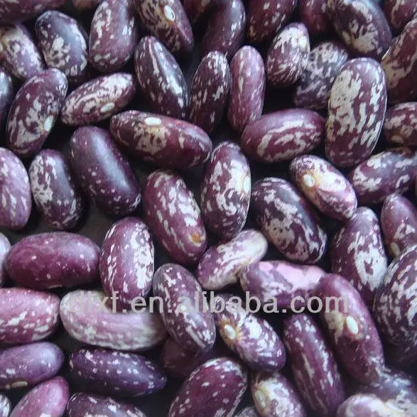 DSC03081 raw material.JPG