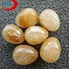 Hot sale factory direct price male vibrating eggs 10 speed remote wireless vibrating eggs kegel balls Vagina Ball