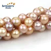 Freshwater pearl string edison round pearl string real freshwater pearl string wholesale