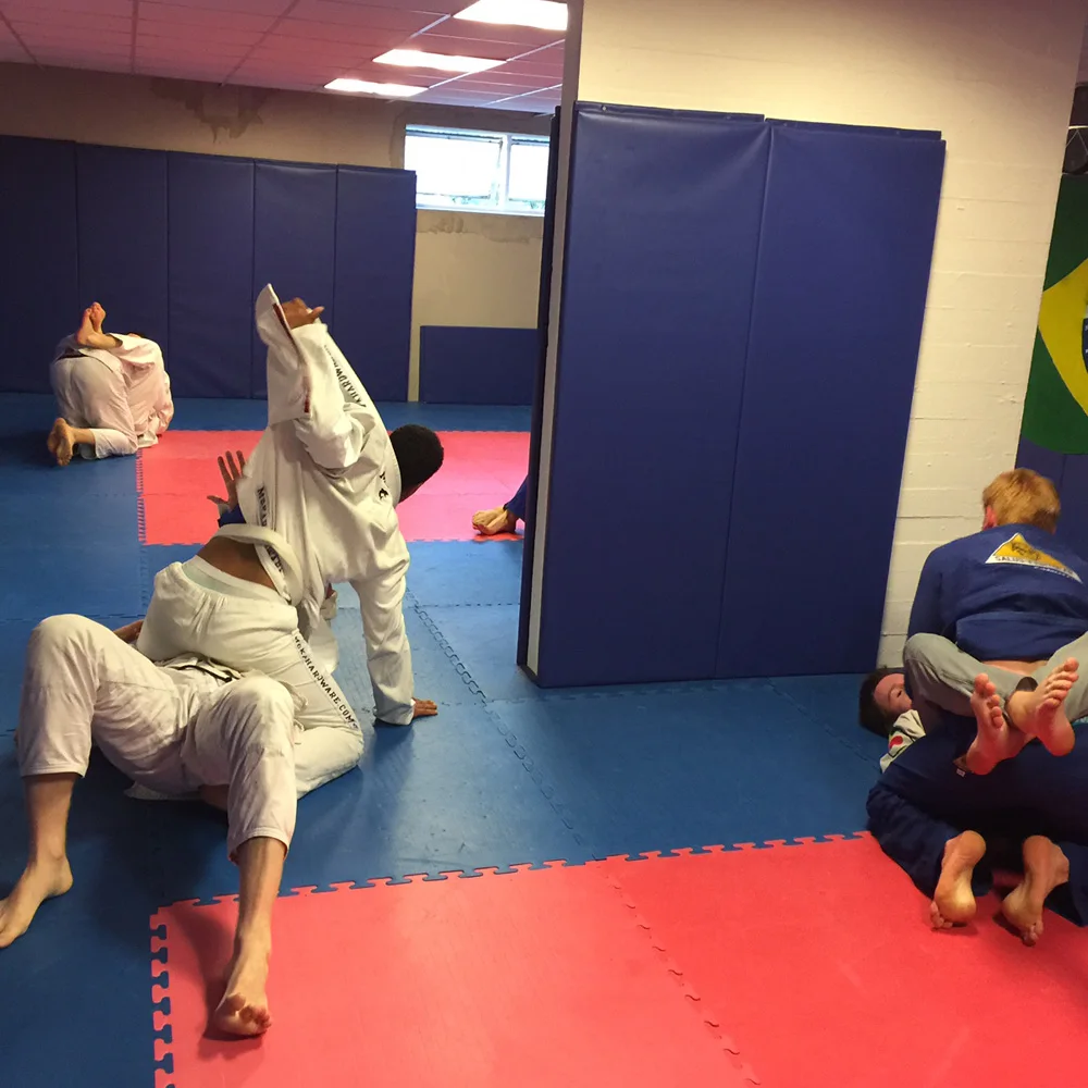 Safety Protection Gym Wall Pad,Foam Wall Padding Buy Foam Wall