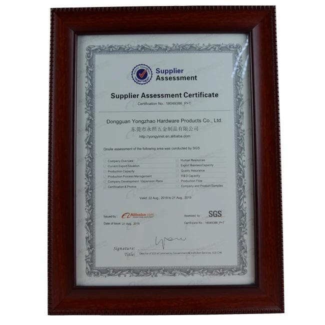 SGS-certificate.jpg